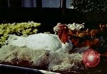 Immagine di La First Lady Pat Nixon Washington DC USA, 1973, secondo 27 filmato di repertorio 65675057331