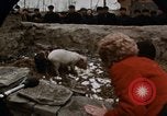 Standbild First Lady Pat Nixon China, 1972, aus Sekunde 26 historischem Filmmaterial Videoclip 65675057335