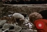 Standbild First Lady Pat Nixon China, 1972, aus Sekunde 27 historischem Filmmaterial Videoclip 65675057335