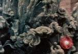 Immagine di Scultura cinese Shanghai in Cina, 1972, secondo 14 filmato di repertorio 65675057347