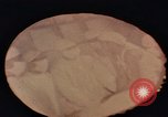 Immagine di Intervento di medicina Shanghai in Cina, 1972, secondo 55 filmato di repertorio 65675057348