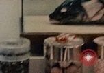 Immagine di Cibi cinesi Shanghai in Cina, 1972, secondo 35 filmato di repertorio 65675057349
