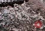 Immagine di Nixon e Enlai Hangchow Cina, 1972, secondo 29 filmato di repertorio 65675057363