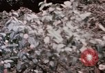 Immagine di Nixon e Enlai Hangchow Cina, 1972, secondo 30 filmato di repertorio 65675057363
