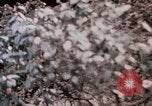 Immagine di Nixon e Enlai Hangchow Cina, 1972, secondo 31 filmato di repertorio 65675057363
