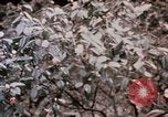 Immagine di Nixon e Enlai Hangchow Cina, 1972, secondo 32 filmato di repertorio 65675057363