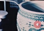 Image of Nixons view Ming fine artwork China, 1972, second 16 stock footage video 65675057380