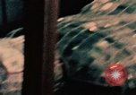 Image of Nixon at Palace Museum Beijing China, 1972, second 11 stock footage video 65675057387