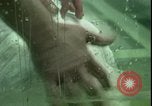 Standbild Pazyryk Mumie Moskau Russland Sowjetunion, 1972, aus Sekunde 9 historischem Filmmaterial Videoclip 65675057503