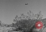 Standbild IX Corps Training Center United States USA, 1943, aus Sekunde 56 historischem Filmmaterial Videoclip 65675057522
