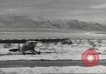 Standbild IX Corps Training Center United States USA, 1943, aus Sekunde 43 historischem Filmmaterial Videoclip 65675057523