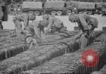 Standbild IX Korps California United States USA, 1943, aus Sekunde 13 historischem Filmmaterial Videoclip 65675057527