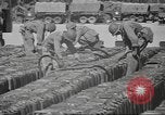 Standbild IX Korps California United States USA, 1943, aus Sekunde 14 historischem Filmmaterial Videoclip 65675057527