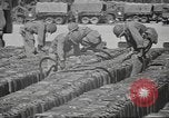 Standbild IX Korps California United States USA, 1943, aus Sekunde 16 historischem Filmmaterial Videoclip 65675057527