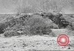 Standbild IX Korps California United States USA, 1943, aus Sekunde 47 historischem Filmmaterial Videoclip 65675057527