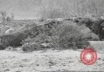 Standbild IX Korps California United States USA, 1943, aus Sekunde 49 historischem Filmmaterial Videoclip 65675057527