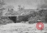 Standbild IX Korps California United States USA, 1943, aus Sekunde 53 historischem Filmmaterial Videoclip 65675057527