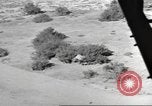 Standbild IX Korps California United States USA, 1943, aus Sekunde 29 historischem Filmmaterial Videoclip 65675057529