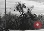 Standbild IX Korps California United States USA, 1943, aus Sekunde 47 historischem Filmmaterial Videoclip 65675057529