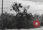 Standbild IX Korps California United States USA, 1943, aus Sekunde 48 historischem Filmmaterial Videoclip 65675057529