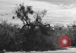 Standbild IX Korps California United States USA, 1943, aus Sekunde 49 historischem Filmmaterial Videoclip 65675057529
