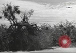 Standbild IX Korps California United States USA, 1943, aus Sekunde 51 historischem Filmmaterial Videoclip 65675057529