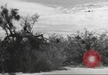 Standbild IX Korps California United States USA, 1943, aus Sekunde 52 historischem Filmmaterial Videoclip 65675057529