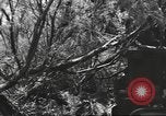 Standbild IX Korps California United States USA, 1943, aus Sekunde 58 historischem Filmmaterial Videoclip 65675057529
