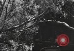 Standbild IX Korps California United States USA, 1943, aus Sekunde 60 historischem Filmmaterial Videoclip 65675057529