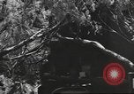 Standbild IX Korps California United States USA, 1943, aus Sekunde 61 historischem Filmmaterial Videoclip 65675057529