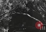 Standbild IX Korps California United States USA, 1943, aus Sekunde 62 historischem Filmmaterial Videoclip 65675057529