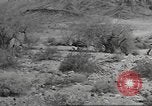 Standbild IX Korps California United States USA, 1943, aus Sekunde 3 historischem Filmmaterial Videoclip 65675057530