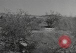 Standbild IX Korps California United States USA, 1943, aus Sekunde 13 historischem Filmmaterial Videoclip 65675057530