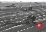 Immagine di IX Corps California United States USA, 1943, secondo 41 filmato di repertorio 65675057531
