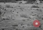 Image of IX Corps California United States USA, 1943, second 51 stock footage video 65675057532