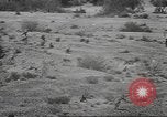 Image of IX Corps California United States USA, 1943, second 53 stock footage video 65675057532