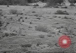 Image of IX Corps California United States USA, 1943, second 55 stock footage video 65675057532