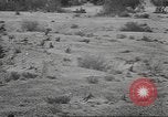 Image of IX Corps California United States USA, 1943, second 56 stock footage video 65675057532