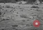 Image of IX Corps California United States USA, 1943, second 57 stock footage video 65675057532