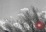 Standbild IX Korps California United States USA, 1943, aus Sekunde 48 historischem Filmmaterial Videoclip 65675057534