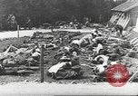 Standbild Kampffahrzeuge dekontamination Maryland United States USA, 1942, aus Sekunde 47 historischem Filmmaterial Videoclip 65675057537
