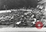 Standbild Kampffahrzeuge dekontamination Maryland United States USA, 1942, aus Sekunde 48 historischem Filmmaterial Videoclip 65675057537