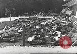 Standbild Kampffahrzeuge dekontamination Maryland United States USA, 1942, aus Sekunde 49 historischem Filmmaterial Videoclip 65675057537