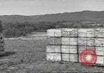 Standbild Munition Zerstörung United States USA, 1959, aus Sekunde 62 historischem Filmmaterial Videoclip 65675057541