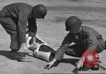 Image of ammunition destruction United States USA, 1959, second 53 stock footage video 65675057545