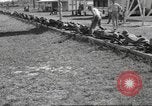 Standbild Army Air Corps Rekruten in der Grundausbildung Saint Petersburg Florida USA, 1942, aus Sekunde 37 historischem Filmmaterial Videoclip 65675057548