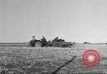 Standbild Neuseeland Lebensmittel für die amerikanischen Soldaten Neuseeland, 1945, aus Sekunde 1 historischem Filmmaterial Videoclip 65675057553
