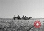 Standbild Neuseeland Lebensmittel für die amerikanischen Soldaten Neuseeland, 1945, aus Sekunde 4 historischem Filmmaterial Videoclip 65675057553