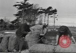 Standbild Neuseeland Lebensmittel für die amerikanischen Soldaten Neuseeland, 1945, aus Sekunde 8 historischem Filmmaterial Videoclip 65675057553