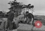 Standbild Neuseeland Lebensmittel für die amerikanischen Soldaten Neuseeland, 1945, aus Sekunde 9 historischem Filmmaterial Videoclip 65675057553